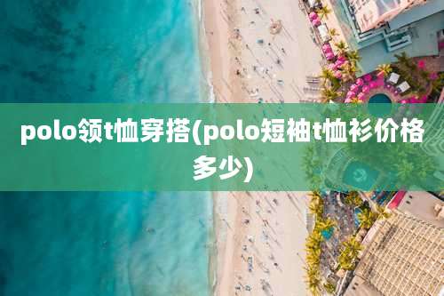 polo领t恤穿搭(polo短袖t恤衫价格多少)