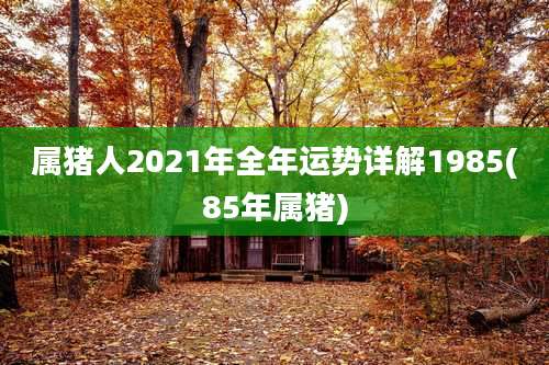 属猪人2021年全年运势详解1985(85年属猪)