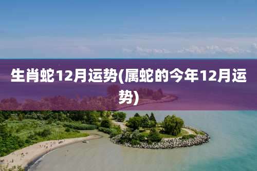 生肖蛇12月运势(属蛇的今年12月运势)