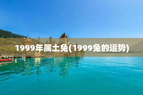 1999年属土兔(1999兔的运势)
