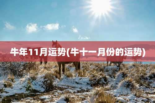 牛年11月运势(牛十一月份的运势)