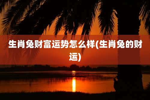 生肖兔财富运势怎么样(生肖兔的财运)