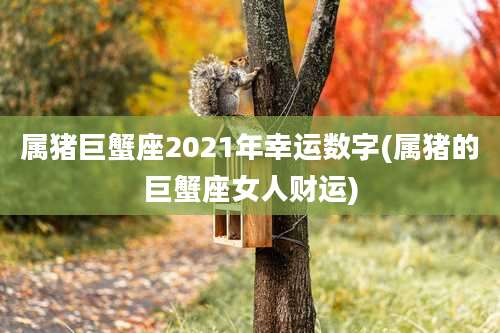 属猪巨蟹座2021年幸运数字(属猪的巨蟹座女人财运)