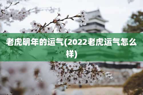老虎明年的运气(2022老虎运气怎么样)