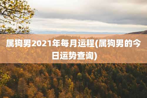 属狗男2021年每月运程(属狗男的今日运势查询)
