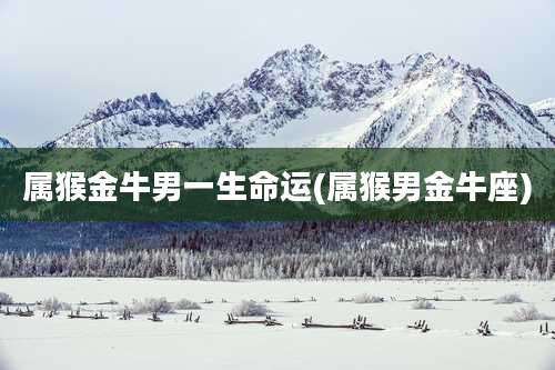 属猴金牛男一生命运(属猴男金牛座)