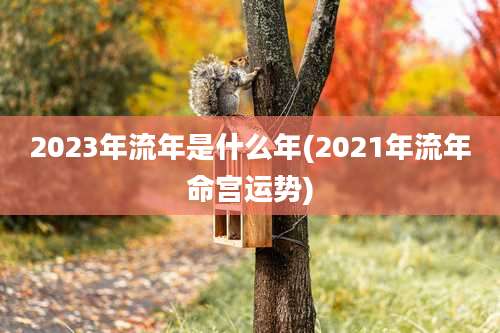 2023年流年是什么年(2021年流年命宫运势)