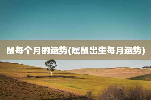 鼠每个月的运势(属鼠出生每月运势)