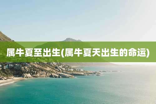 属牛夏至出生(属牛夏天出生的命运)