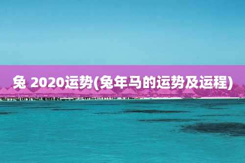 兔 2020运势(兔年马的运势及运程)