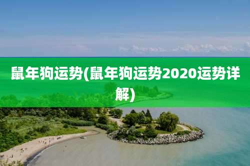 鼠年狗运势(鼠年狗运势2020运势详解)