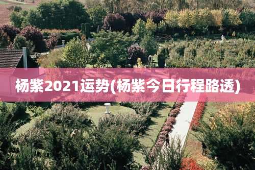 杨紫2021运势(杨紫今日行程路透)