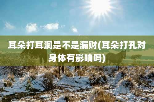 耳朵打耳洞是不是漏财(耳朵打孔对身体有影响吗)