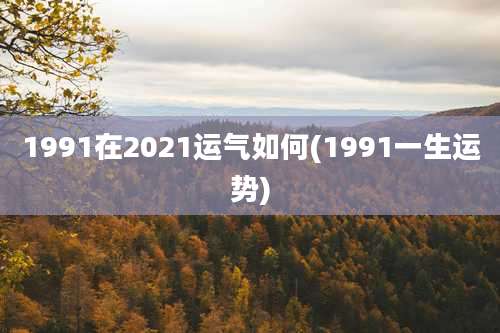 1991在2021运气如何(1991一生运势)