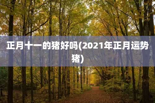 正月十一的猪好吗(2021年正月运势猪)