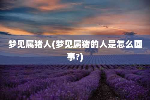 梦见属猪人(梦见属猪的人是怎么回事?)