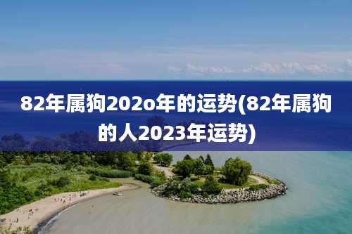 82年属狗202o年的运势(82年属狗的人2023年运势)