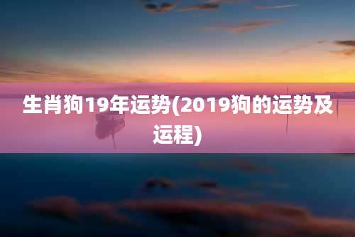 生肖狗19年运势(2019狗的运势及运程)