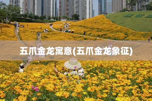 五爪金龙寓意(五爪金龙象征)