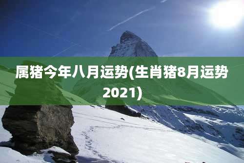 属猪今年八月运势(生肖猪8月运势2021)