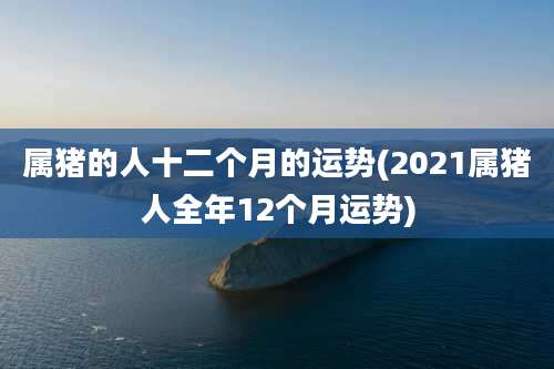 属猪的人十二个月的运势(2021属猪人全年12个月运势)