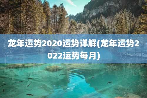 龙年运势2020运势详解(龙年运势2022运势每月)