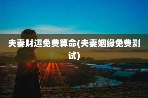 夫妻财运免费算命(夫妻姻缘免费测试)