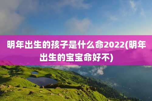 明年出生的孩子是什么命2022(明年出生的宝宝命好不)