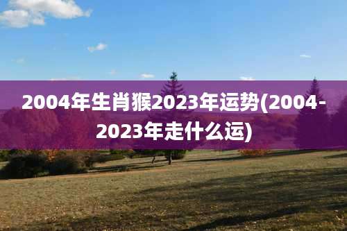 2004年生肖猴2023年运势(2004-2023年走什么运)