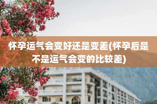 怀孕运气会变好还是变差(怀孕后是不是运气会变的比较差)