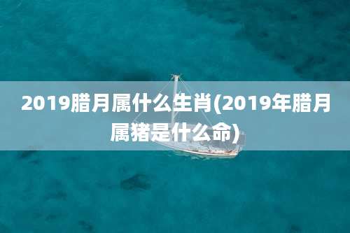 2019腊月属什么生肖(2019年腊月属猪是什么命)