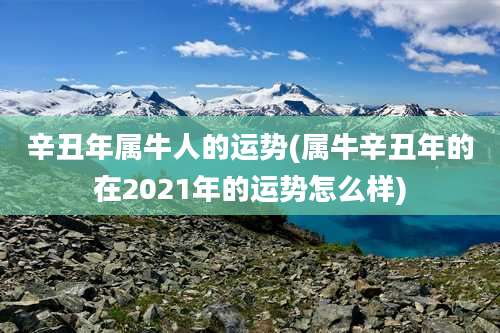 辛丑年属牛人的运势(属牛辛丑年的在2021年的运势怎么样)