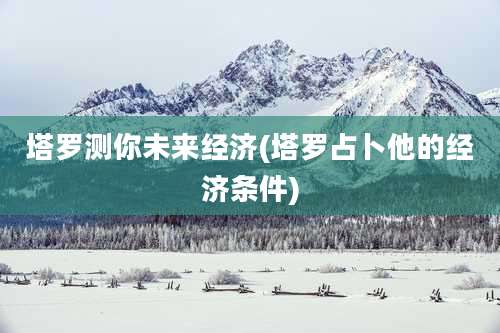 塔罗测你未来经济(塔罗占卜他的经济条件)