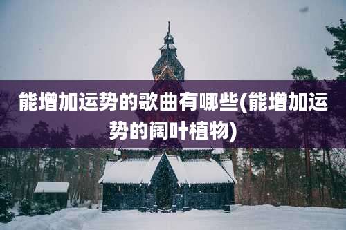 能增加运势的歌曲有哪些(能增加运势的阔叶植物)