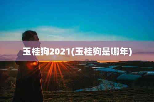 玉桂狗2021(玉桂狗是哪年)