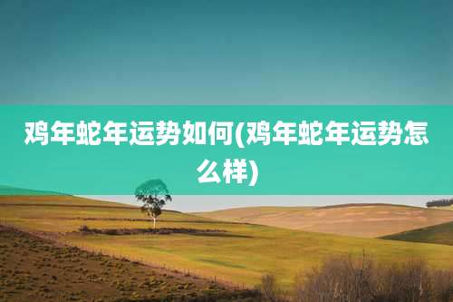 鸡年蛇年运势如何(鸡年蛇年运势怎么样)