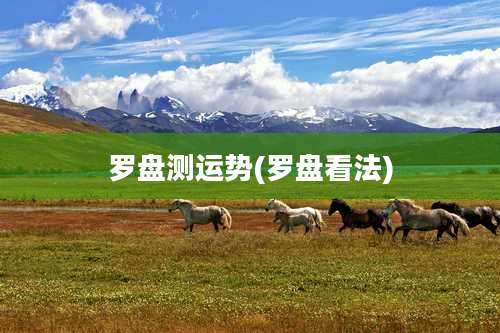 罗盘测运势(罗盘看法)