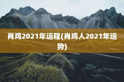 肖鸡2021年运程(肖鸡人2021年运势)