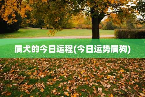 属犬的今日运程(今日运势属狗)