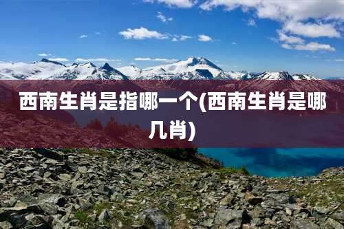 西南生肖是指哪一个(西南生肖是哪几肖)