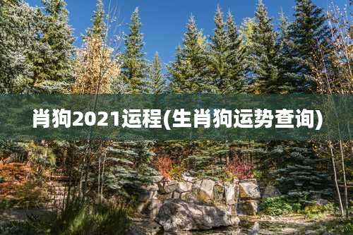 肖狗2021运程(生肖狗运势查询)