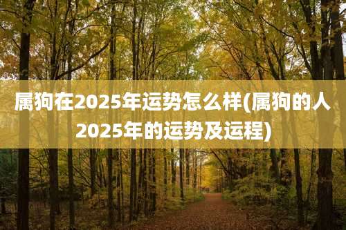 属狗在2025年运势怎么样(属狗的人2025年的运势及运程)