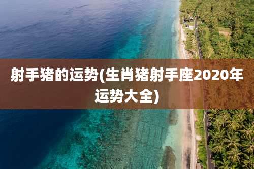 射手猪的运势(生肖猪射手座2020年运势大全)