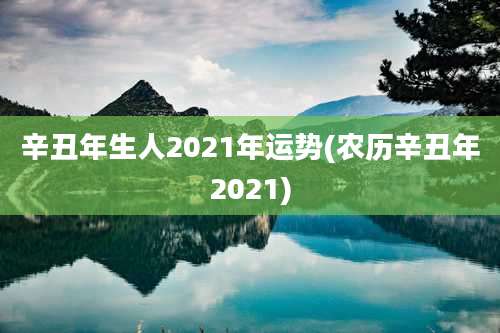 辛丑年生人2021年运势(农历辛丑年2021)