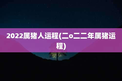 2022属猪人运程(二o二二年属猪运程)