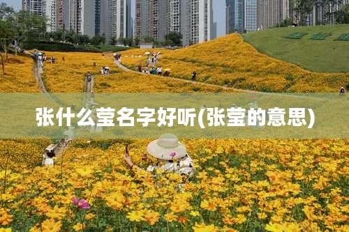 张什么莹名字好听(张莹的意思)