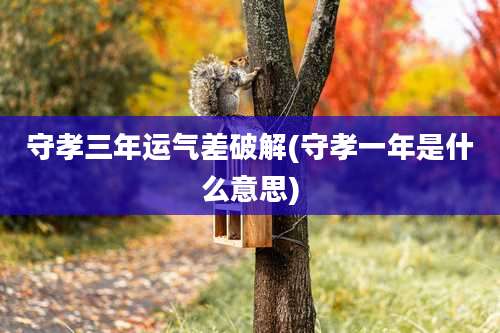 守孝三年运气差破解(守孝一年是什么意思)