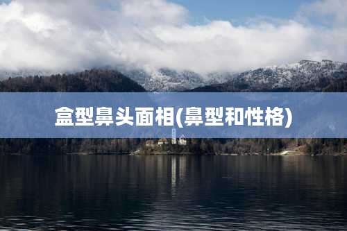 盒型鼻头面相(鼻型和性格)