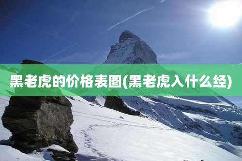 黑老虎的价格表图(黑老虎入什么经)