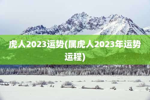 虎人2023运势(属虎人2023年运势运程)